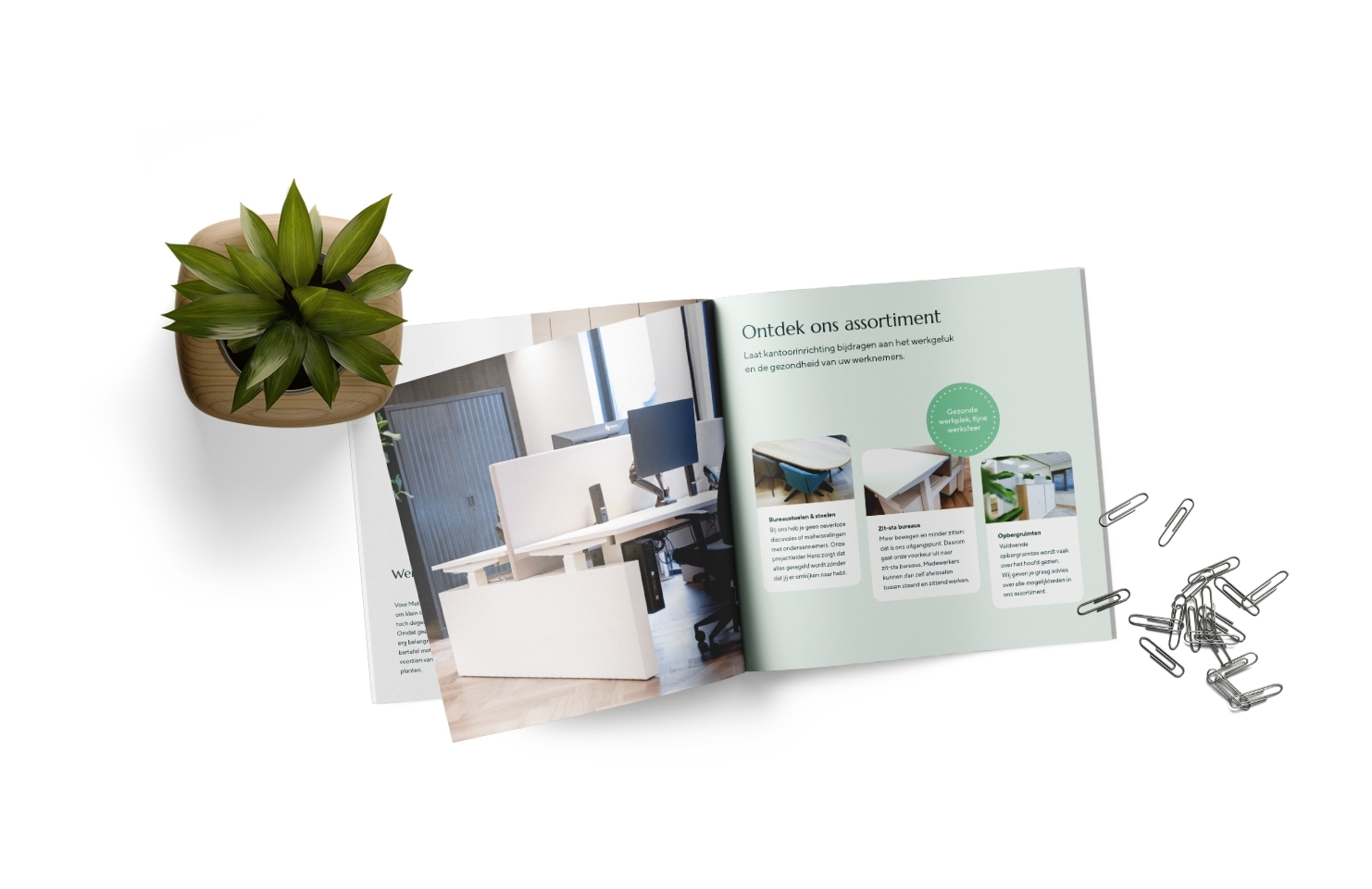Brochure